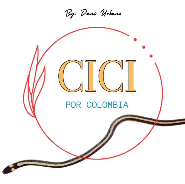 CICI por Colombia